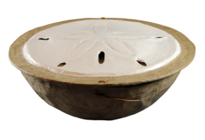 serenity-sand-dollar