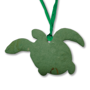 Blooming-Turtle-2000x2000-Clear