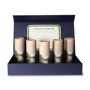 40 CI Scattering Kit, STR_media-02