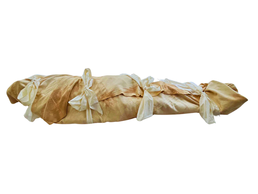 blkwalnutshroud1-transparent