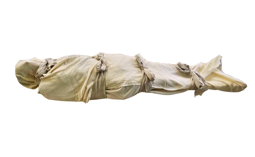 pomegranateshroud-transparent